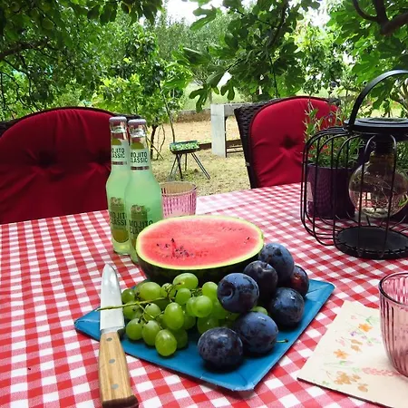 Apartament Apartman Niko *